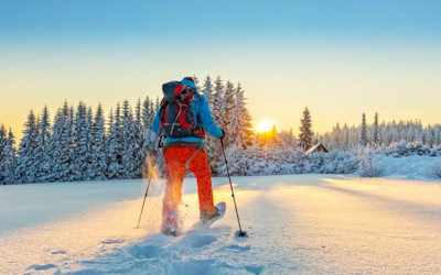 Singleurlaub in Arvidsjaur - Lappland